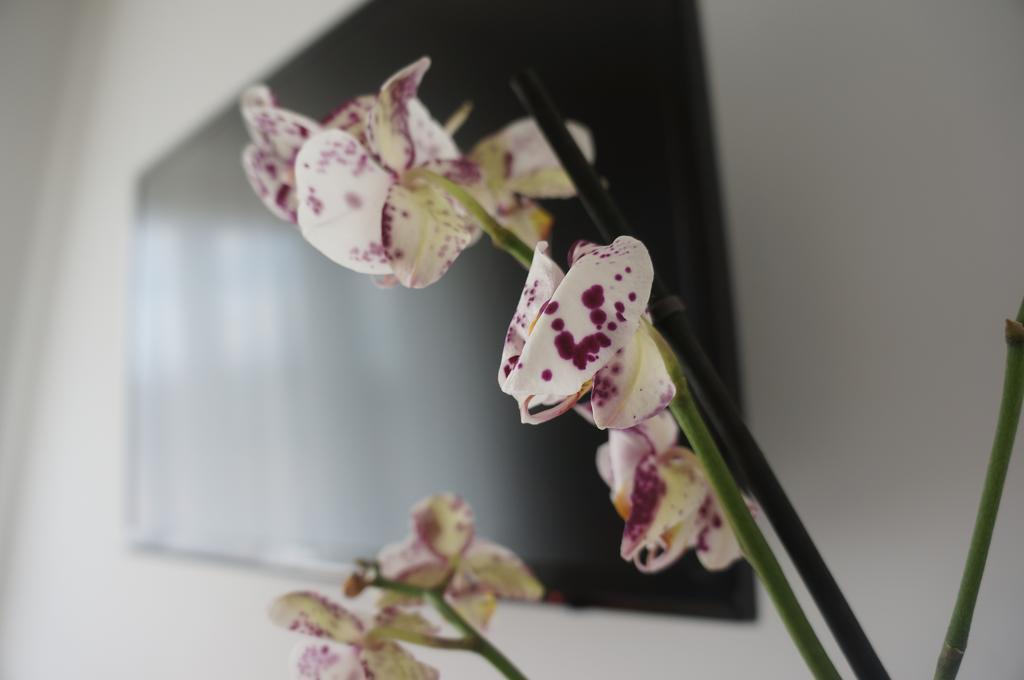 Lullymia Bed and Breakfast Crotone Buitenkant foto